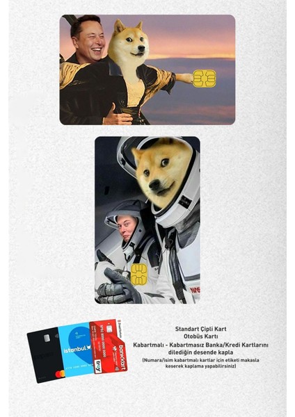 Doge & Elon Musk Ikilisi Papara, Kredi Kart Kaplama Sticker