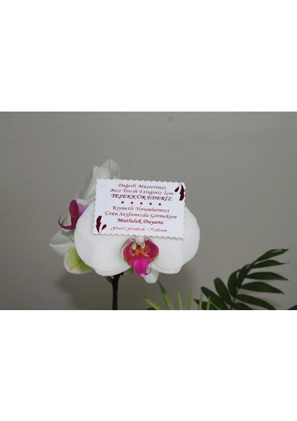 Teşekkür Kartı Fuşya Yaldızlı Özel Kesimli 100 Adet 5,1x8,1 Cm, Teşekkür Kartı