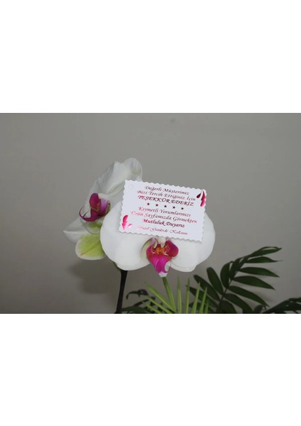 Teşekkür Kartı Fuşya Yaldızlı Özel Kesimli 100 Adet 5,1x8,1 Cm, Teşekkür Kartı modelleri