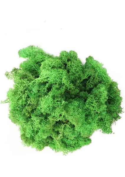Moss 250 ml Oda Spreyi Lüks ve Kalıcı Ferahlık