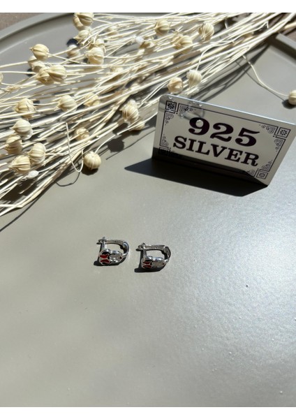 925 Ayar Gümüş Çocuk Küpe fiyatları