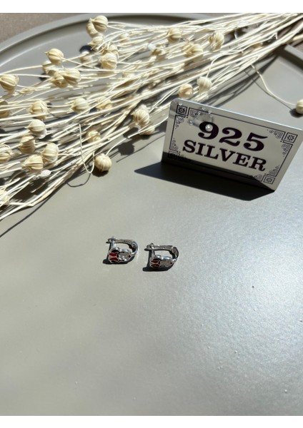 925 Ayar Gümüş Çocuk Küpe fırsatları