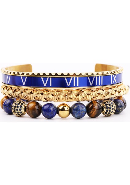 Siyah Bileklik Yüksek Kaliteli Erkek Takı Altın Bilezik Paslanmaz Çelik Mavi Roma Kaplan Gözü Taşlı Cz Toplu Makrome Bilezik Bileziği Erkek (Yurt Dışından) modelleri