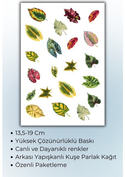 Çiçek-Yaprak Temalı 3 'lü Set Sticker Planner Ajanda Bullet Journal Için Uygun Set fiyatları