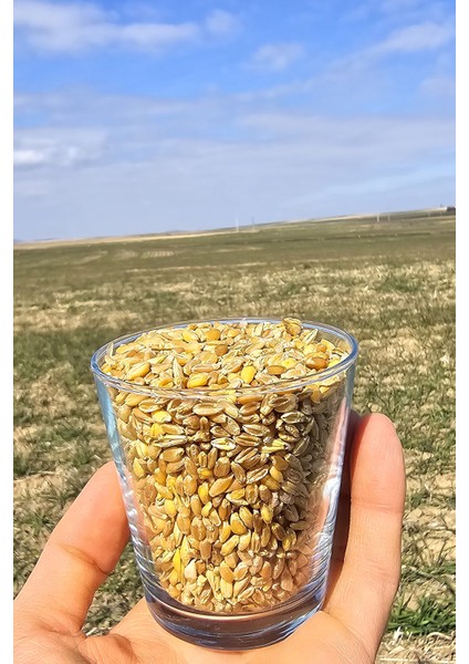 Atalık Yediveren Unu 5 kg