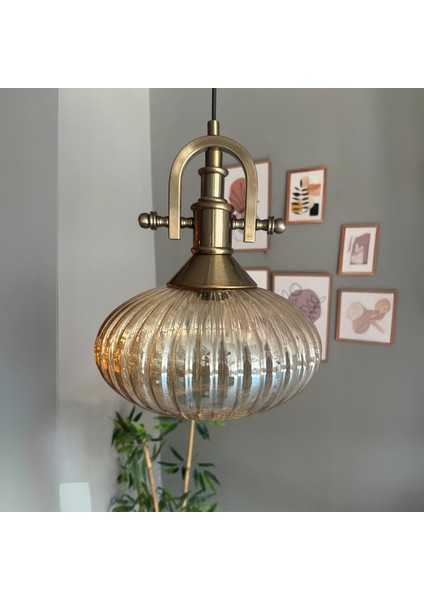 Elegant Cam Tekli Bal Rengi Avize Eskitme Gemici Başlık Sarkıt Lamba Restoran Salon Aydınlatma