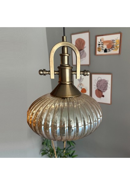 Elegant Cam Tekli Bal Rengi Avize Eskitme Gemici Başlık Sarkıt Lamba Restoran Salon Aydınlatma