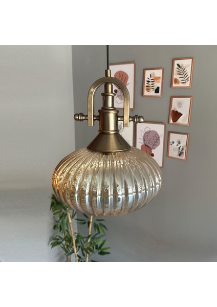 Elegant Cam Tekli Bal Rengi Avize Eskitme Gemici Başlık Sarkıt Lamba Restoran Salon Aydınlatma