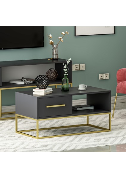 Mira Kapaklı Orta Sehpa, Gold Ayak, Modern Tasarım - 90 cm , Ev-Ofis