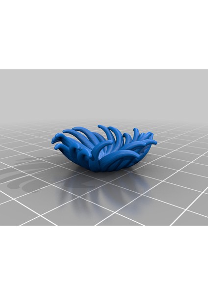 Tentacle Kase THN2544711