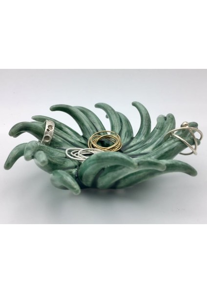 Tentacle Kase THN2544711 fiyatları