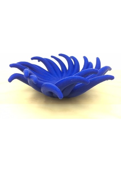 Tentacle Kase THN2544711 indirimleri