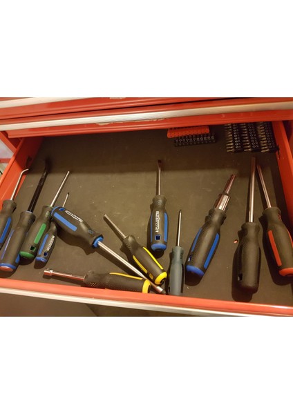 Tornavida Düzenleyicisi THN2782310 fiyatları