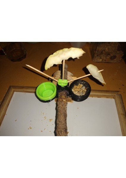 Kuş Levrek Atıştırmalık Besleyici THN3370587