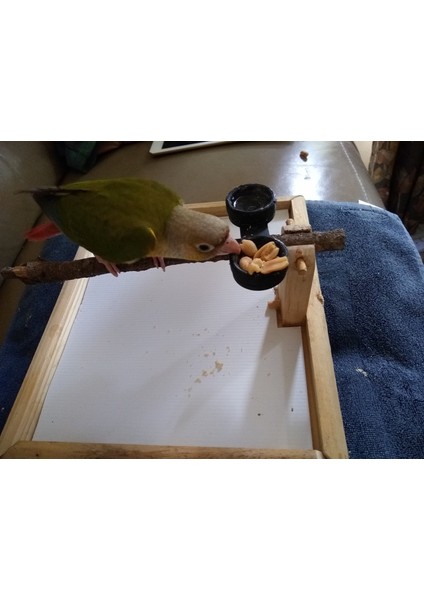 Kuş Levrek Atıştırmalık Besleyici THN3370587 fiyatları