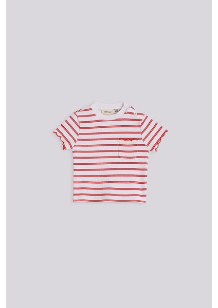 Bg Store Kız Bebek Çizgili Tshirt