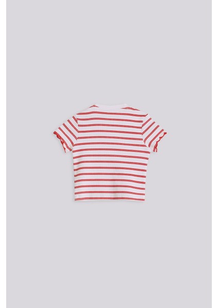 Bg Store Kız Bebek Çizgili Tshirt fiyatları