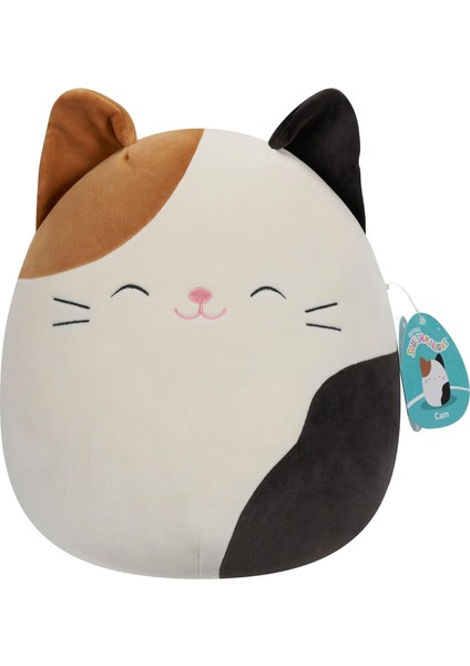Kedi Cam 30 cm