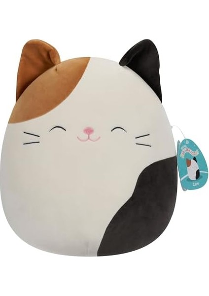 Kedi Cam 30 cm