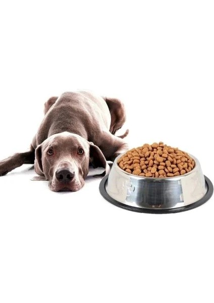 Paslanmaz Çelik Metal Mama Kabı 30 Cm.