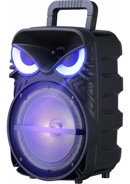 Pk-17 Fm Radyolu Mikrofonlu Rgb Tws 8 Inç Stereo Bass Kablosuz Karaoke Hoparlör
