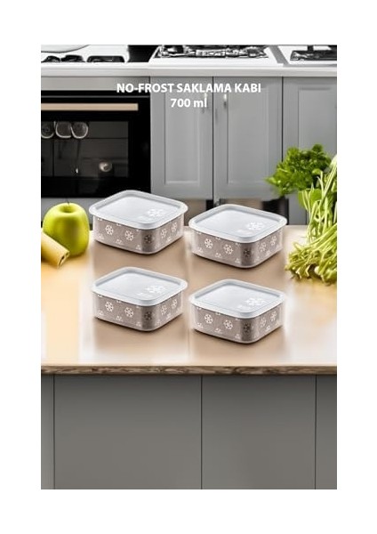 4'lü Set No Frost Saklama Kabı Terrra 700 ml