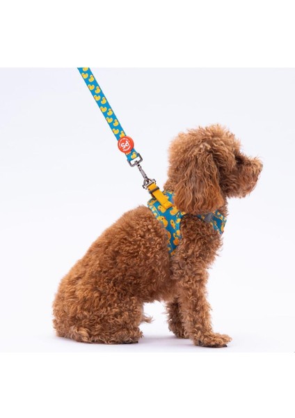 Ducks Leash & Air-Mesh Kedi Köpek Tasma ve Gezdirme Kayışı Seti Tasma Seti 1 Adet