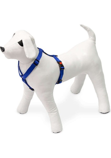 Köpek Göğüs Tasması L Mavi 65-100 x 2,5 492113 1 Adet