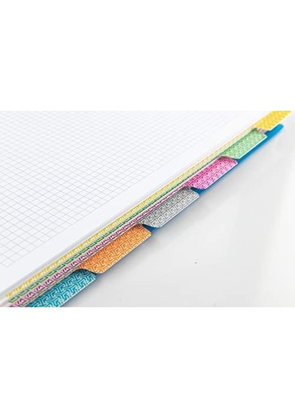 Capricorn Neon Serisi, A4, 6 Konulu (3 Kareli, 3 Çizgili) 180 Yaprak Pp Kapaklı Spiralli Defter, Pembe