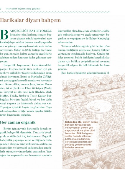 Bahçe Kardeşliği - Zehirsiz Ve Güzel Bir Sebze Bahçesi İçin Kardeş Bitkilerle Ekim Yöntemi - Sally Jean Cunningham