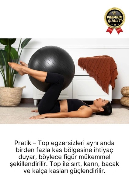 Premium Mini Gymball 20cm Jimnastik Denge Fitness Spor Şişirme Pompası Hediyeli Siyah Pilates Topu fırsatları