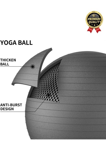 Premium Mini Gymball 20cm Jimnastik Denge Fitness Spor Şişirme Pompası Hediyeli Siyah Pilates Topu indirimleri