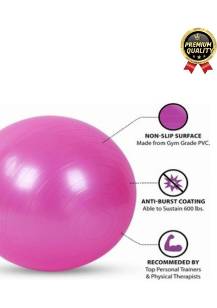 Premium Mini Gymball 20cm Jimnastik Denge Fitness Spor Şişirme Pompası Hediyeli Pembe Pilates Topu modelleri