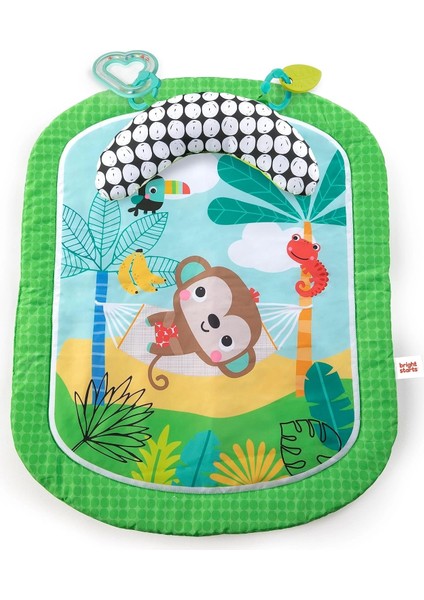 Bright Starts Bebek Aktivite Minderi Oyun Halısı fiyatları