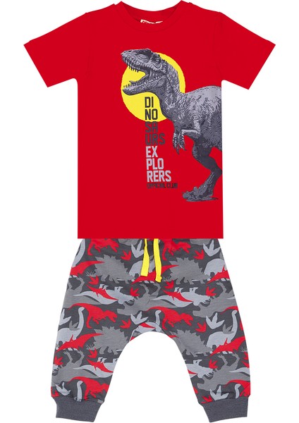 Dino Kamuflaj Erkek Çocuk T-shirt Kapri Şort Takım modelleri