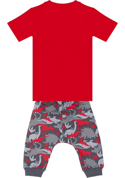 Dino Kamuflaj Erkek Çocuk T-shirt Kapri Şort Takım fırsatları