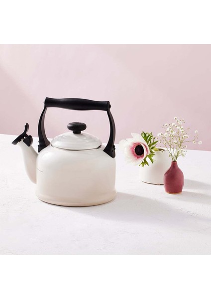 Geleneksel Tasarımlı Su Isıtıcısı, 2.1 Litre Kapasite, Emaye Karbon Çelik fırsatları