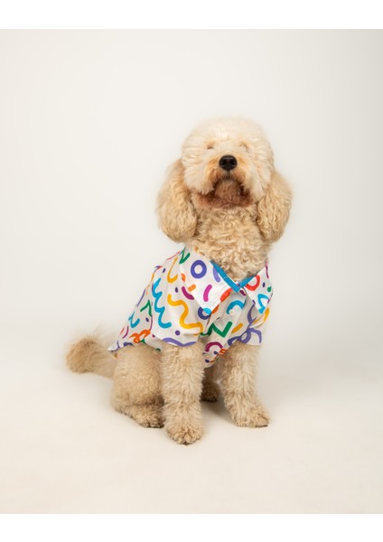 Color Splash - Küçük Orta Irk Özel Baskılı Kedi Köpek Kıyafeti