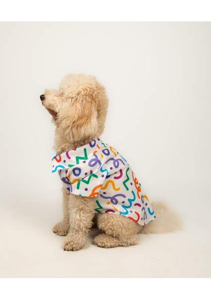 Color Splash - Küçük Orta Irk Özel Baskılı Kedi Köpek Kıyafeti