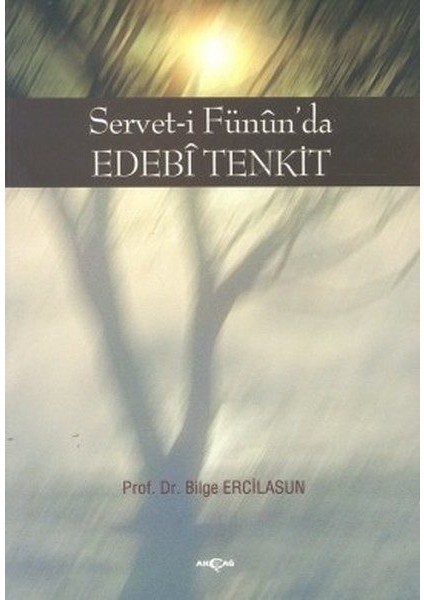 Servet-I Fünun'da Edebi Tenkit