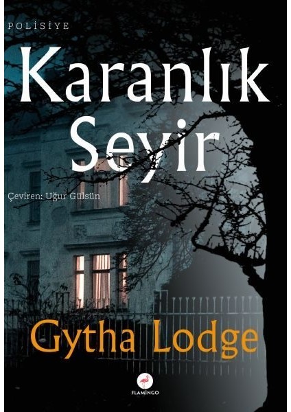 Karanlık Seyir