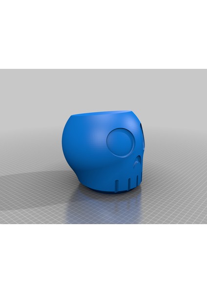 Skully Kase THN2995849 indirimleri