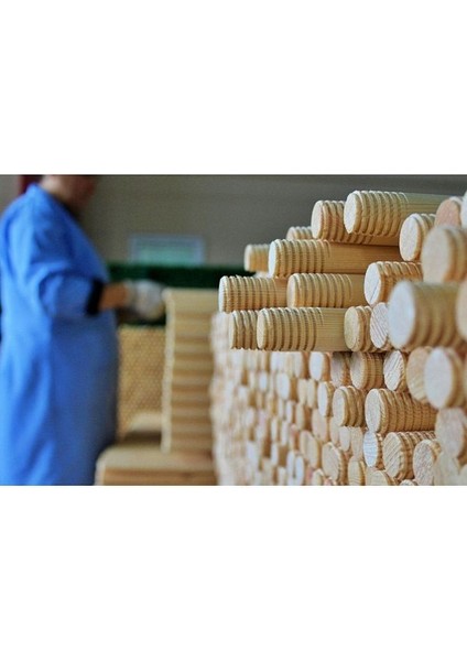 Fırınlı Çam Vidalı Fırça Süpürge Sapı 120 cm - 30 Adet, 1 Bağ