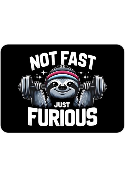 Not Fast Just Furious Araba ve Buzdolabı Magneti