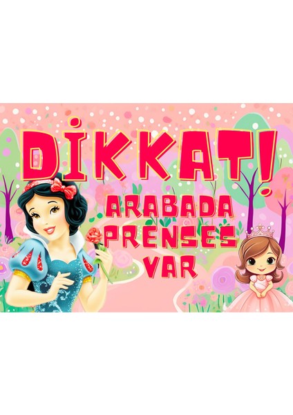 Dikkat Arabada Prenses Var! Yazılı Araba ve Buzdolabı Magneti