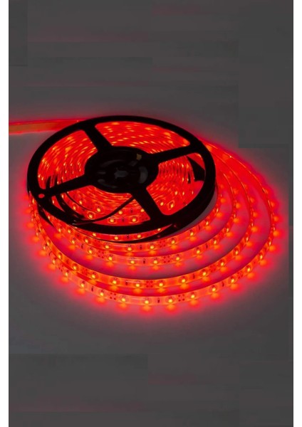 24V Şerit LED 5050 IP65 24 Volt Şerit LED (5metre)