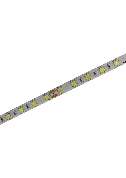 24V Şerit LED 5050 IP65 24 Volt Şerit LED (5metre)