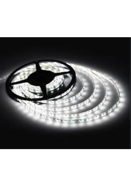 24V Şerit LED 5050 IP65 24 Volt Şerit LED (5metre)