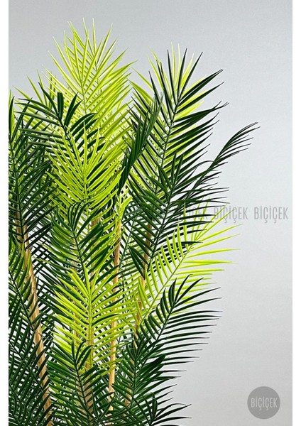Yapay Areka Palmiyesi 6 Gövde Gala Saksıda Yoğun Yapraklı fırsatları