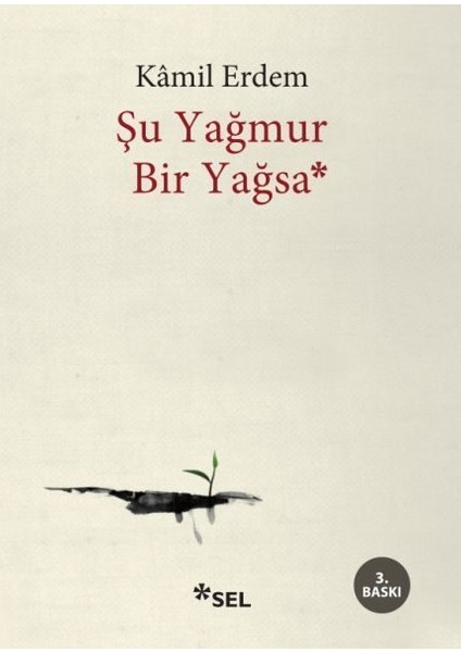 Şu Yağmur Bir Yağsa